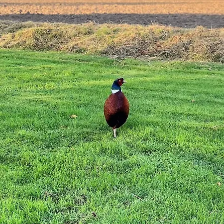8 Person In Svendborg-by Traum 度假居 *